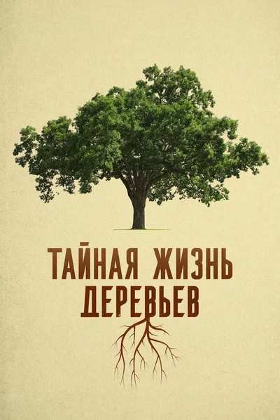 Постер: Деревья: гении мира природы